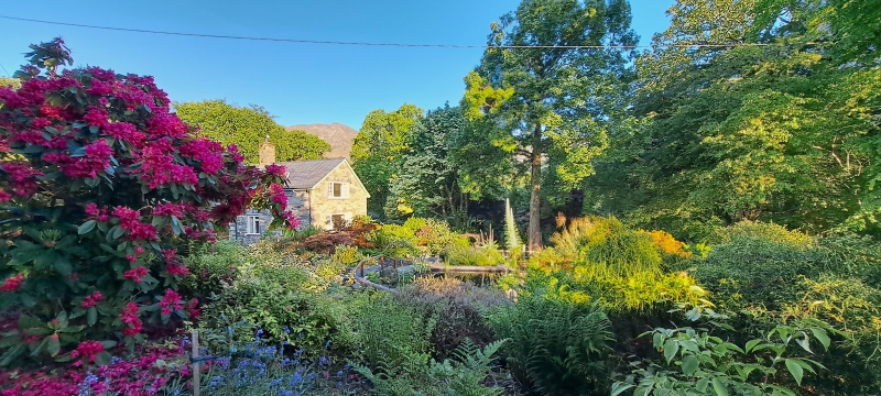 Hafod Garegog